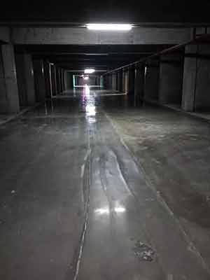 1630375390898925.jpg 5.jpg